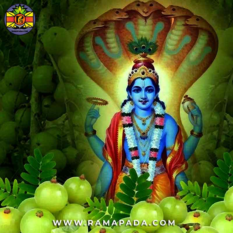 lord krishna image with sheshnag vishnu avatar hindu god krishna devotional image spiritual significance ramapada acharjee