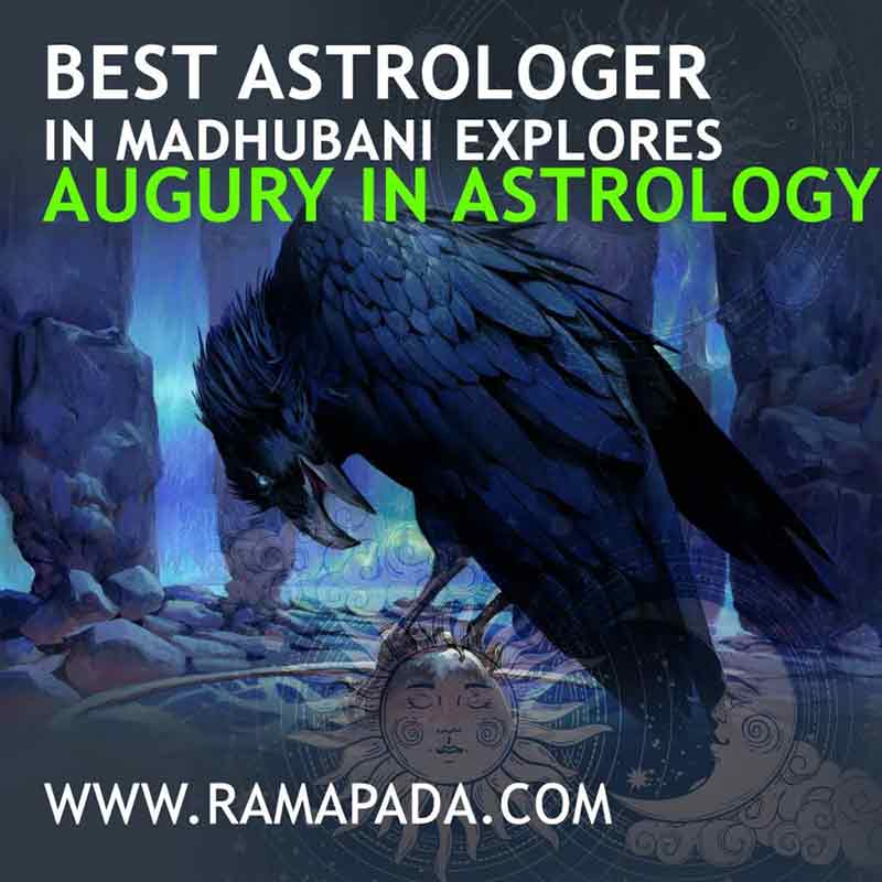 Best astrologer in Madhubani exploring augury in astrology with crow symbolism and spiritual insight