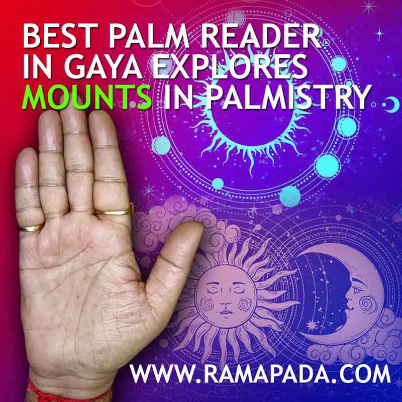 The best palm reader in Gaya explaining mounts in palmistry with hand analysis