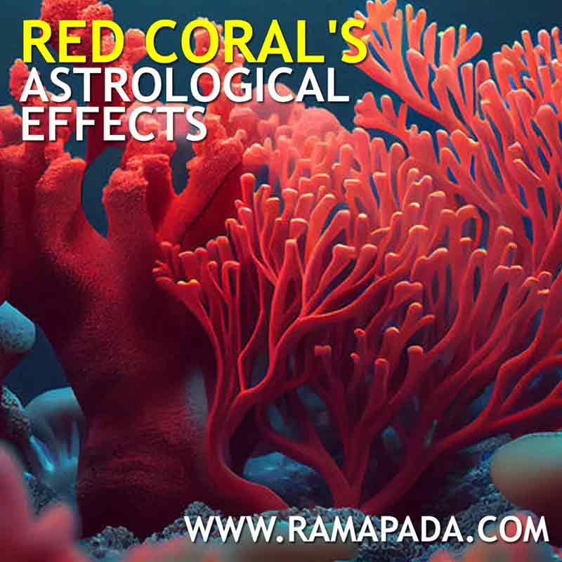 Red Coral Astrological Effects and Benefits - Gemstone Consultation by Ramapada Acharjee.