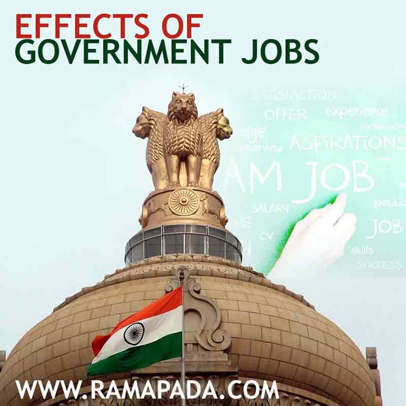 Effects of government jobs on career stability success and public service aspirations