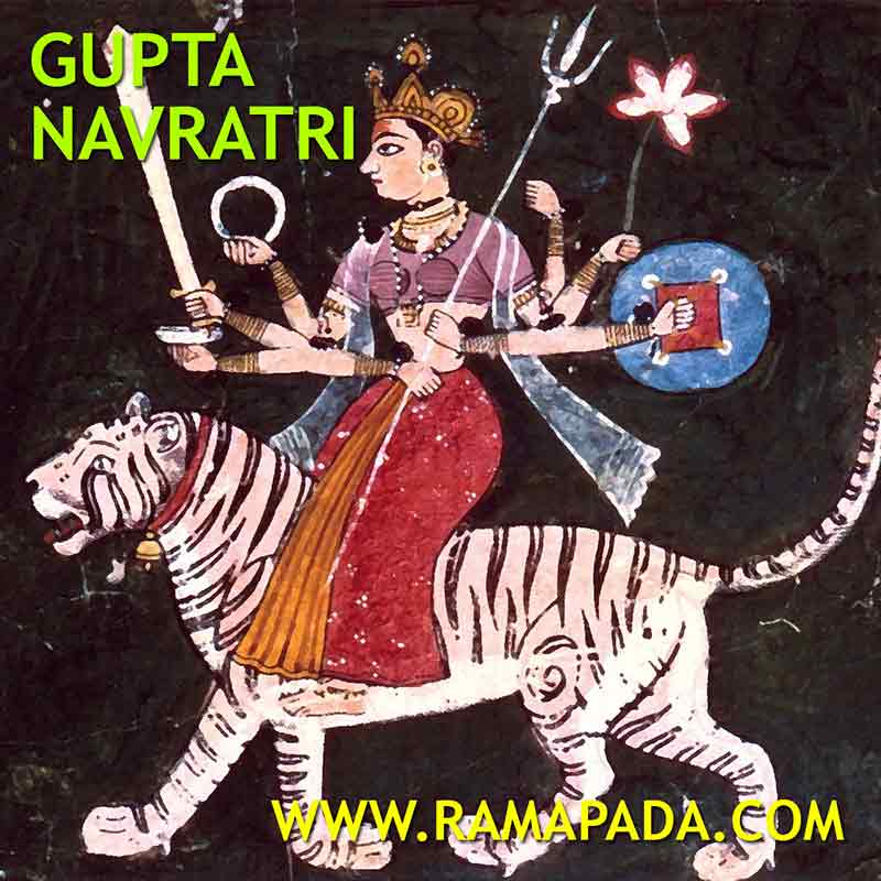 Gupta Navratri image of Goddess Durga riding tiger with divine weapons and spiritual symbolism